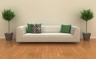 Pick the Best Sofa Bed for Overnight Guests